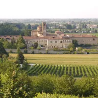 Colli Euganei