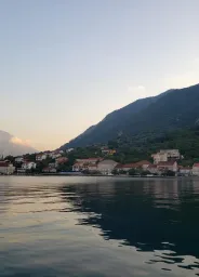 Kotor