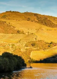 Vallée du Douro