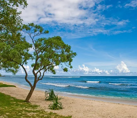 Îles Vanuatu