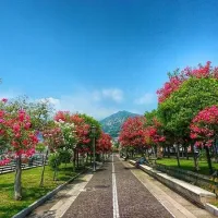 Salerno