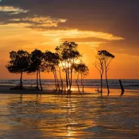 Îles Tiwi