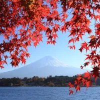 Japon