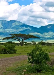 Tanzanie