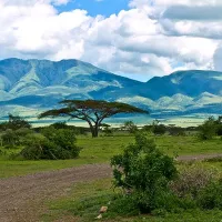 Tanzanie