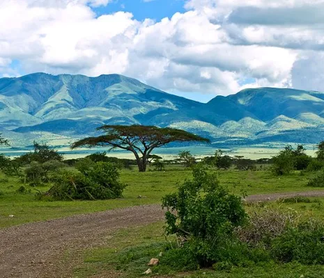 Tanzanie