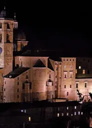 Urbino