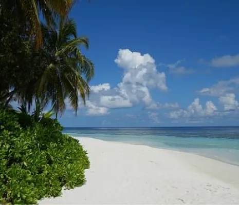 Papouasie-Nouvelle-Guinée