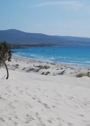 Porto Pino