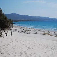 Porto Pino