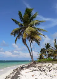 République dominicaine