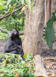 République du Congo