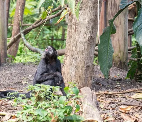 République du Congo