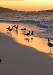 Sao Tomé-et-Principe