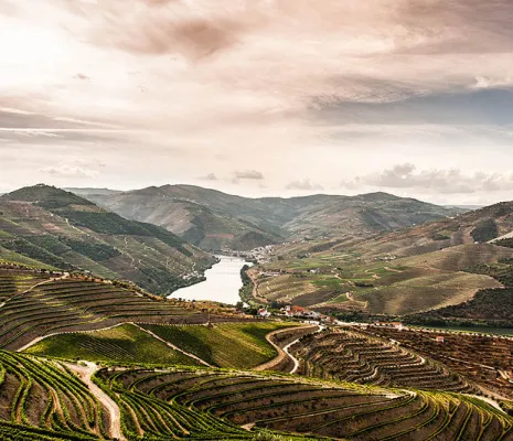 Vallée du Douro